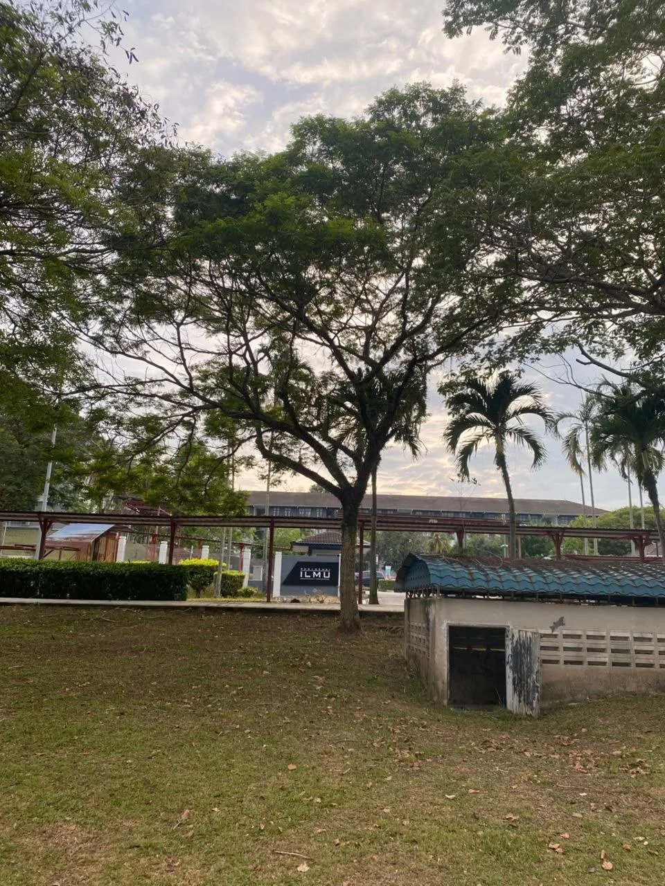 Tree 23: An airy, wide crown reaches over the slope beside the path. A small blue-roofed structure provides a useful landmark in the photographs.